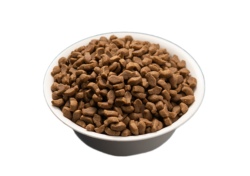 Catfood-IC01