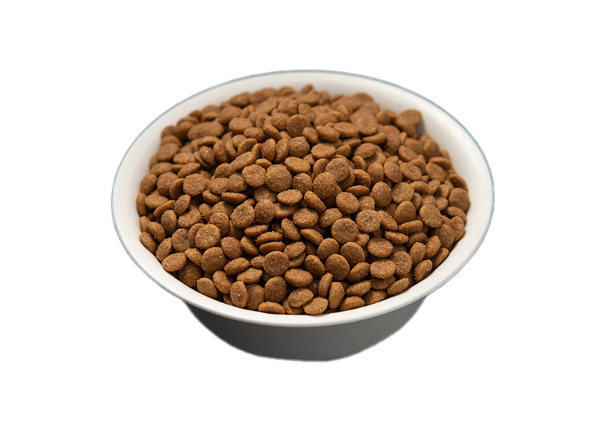 Dogfood-IC01