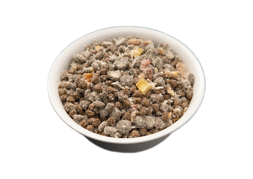 Dogfood-IC04