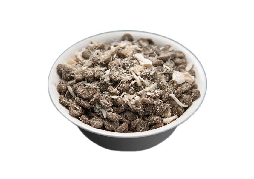 Dogfood-IC02